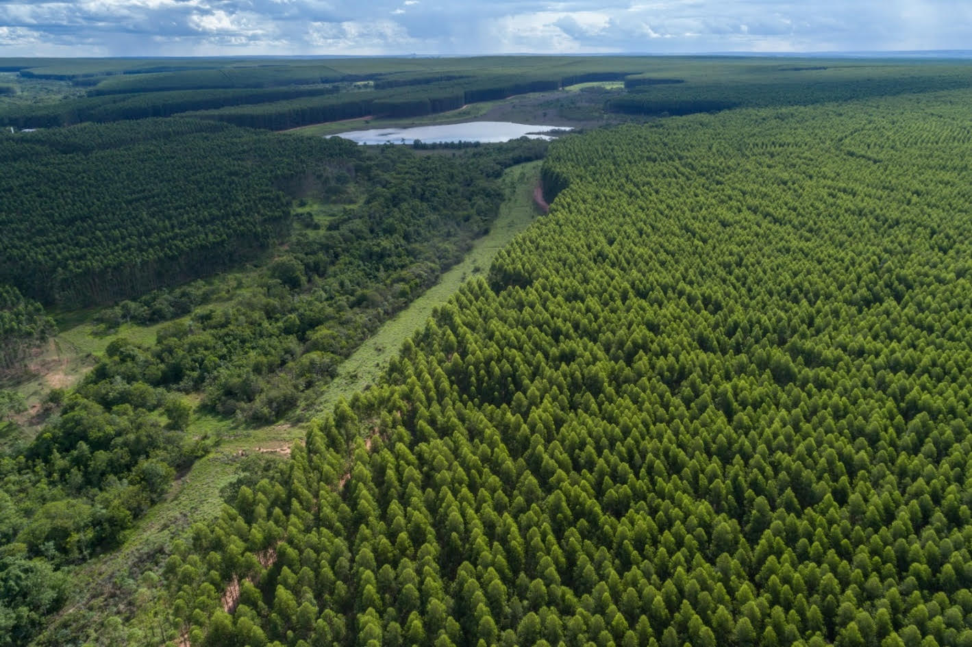 Conselho da Arauco aprova investimento de US$ 4,6 bilhões na fábrica em Inocência: Valmet fornecerá equipamentos e tecnologia